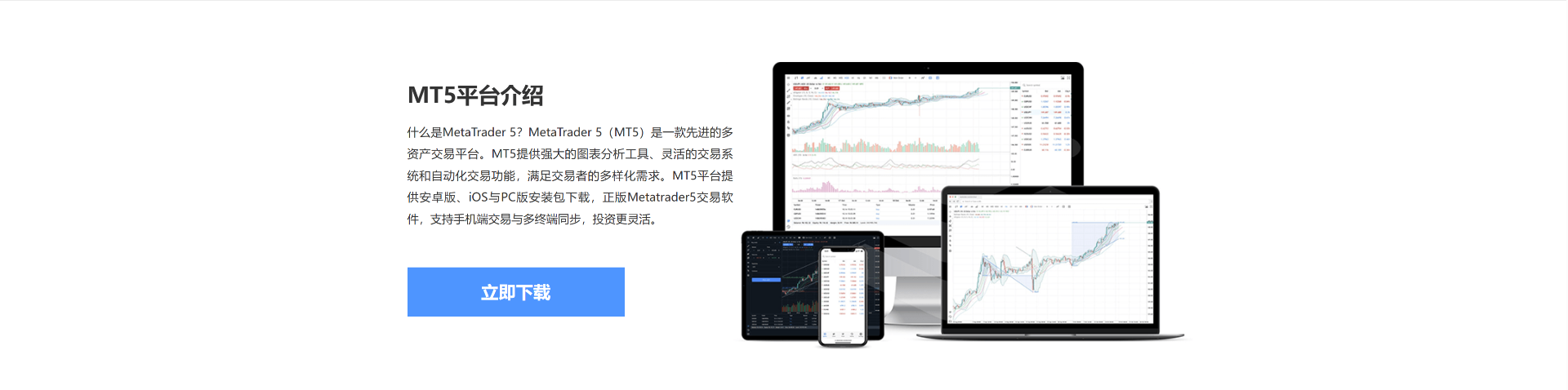 MT5 多终端交易界面
